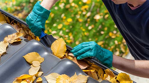 8-tips-leaves-out-of-gutters